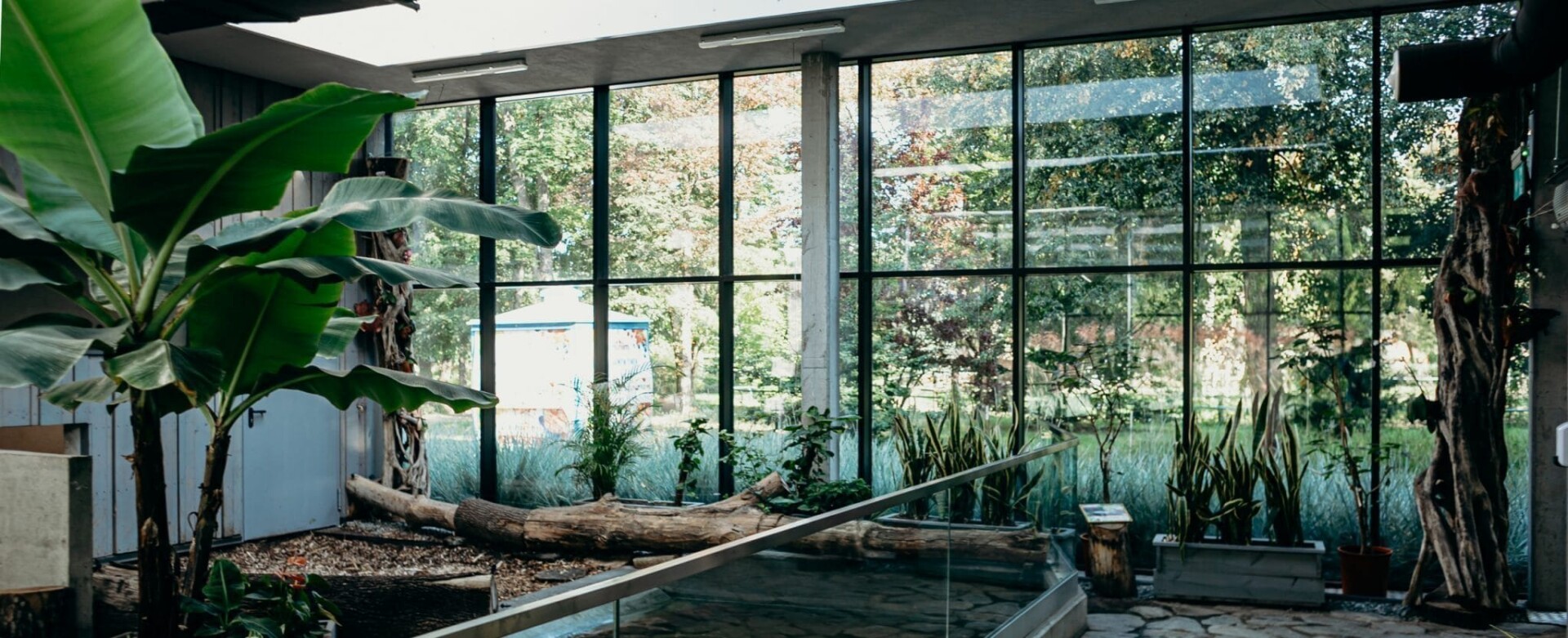 Große Glasfläche mit Holz-Aluminium-Rahmen